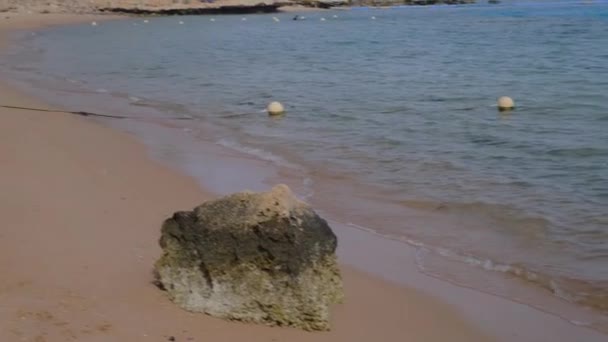 Тропічний Пляж Сонячними Парасолями Червоному Морі Біля Коралового Рифу Єгипет — стокове відео