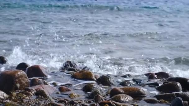 红海沿岸强烈的海浪破浪而出 暴风雨期间海浪在卵石海滩上冲撞 海上的风暴 红海的全景 — 图库视频影像