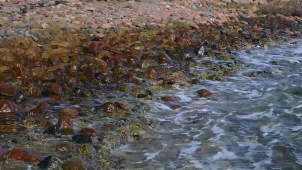 Мощные Морские Волны Ломаются Побережье Красного Моря Волны Разбиваются Галечном — стоковое видео