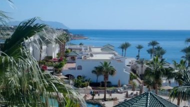 Peyzaj, Otel Tatil Köyü, Mısır Oteli, Tropikal Palmiye Bahçesi Manzarası, Yüzme Havuzu, Su Parkı