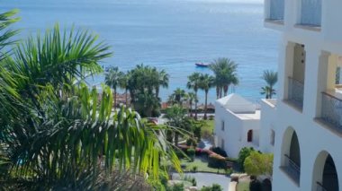 Peyzaj, Otel Tatil Köyü, Mısır Oteli, Tropikal Palmiye Bahçesi Manzarası, Yüzme Havuzu, Su Parkı