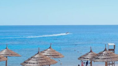 Mercan resifi yakınlarındaki Kızıl Deniz 'de güneş şemsiyeli tropik plaj, dinlenmek için egzotik sahilin panoramik manzarası, palmiye ağaçları, şemsiyeler ve güverte sandalyeleri ve uzun pantonlu plaj.