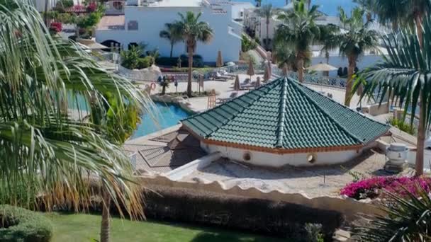 Paisagismo Hotel Resort Egito Hotel Grounds Vista Tropical Palm Tree — Vídeo de Stock