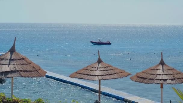 サンゴ礁の近くの紅海に太陽の傘を持つ熱帯のビーチ 海岸のパノラマビューリラクゼーションのためのエキゾチックな風景 ヤシの木 傘とデッキチェアと長いパントーンのビーチ — ストック動画