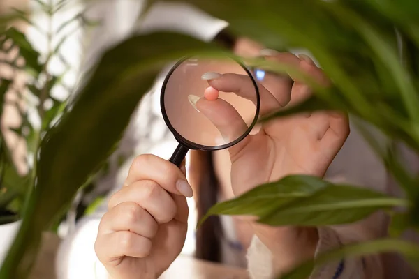Scientist Magnifying Glass Checks Defective Medical Pills Concept Pharmaceutical Testing — Stock Photo, Image