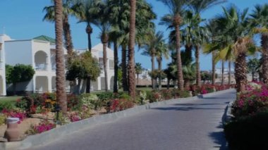 Beyazlı otel. Bahçe manzarası, havuz ve tropik palmiye ağaçları