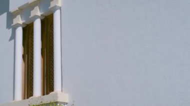 Beyazlı otel. Bahçe manzarası, havuz ve tropik palmiye ağaçları