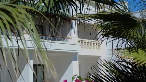 Hotel Blanco Vista Los Jardines Piscina Palmeras Tropicales — Vídeos de Stock