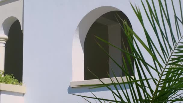 ホワイトのホテル プール 熱帯ヤシの木の眺め — ストック動画