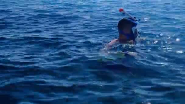 Человек Маске Плавает Море Захватывающий Вид Самца Ныряющего Трубкой Школой — стоковое видео