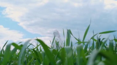 Epidemiyoloji uzmanı sahada çalışıyor. Solunum cihazındaki bir biyolog ve koruyucu giysi modern teknolojinin yardımıyla alanı keşfediyor. Koruyucu giysi ve maske takmış epidemiyoloji uzmanı..