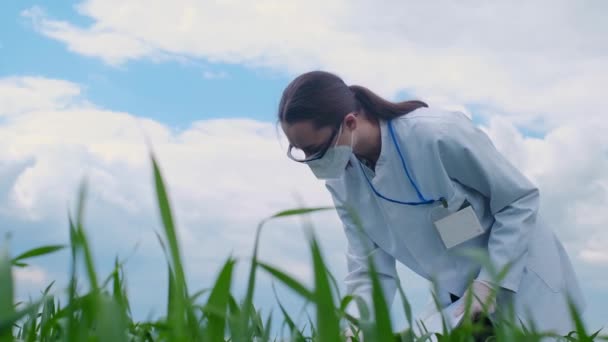 마스크를 농학자는 농장의 디지털 태블릿에 필기를 지역에 정보를 조사하는 — 비디오