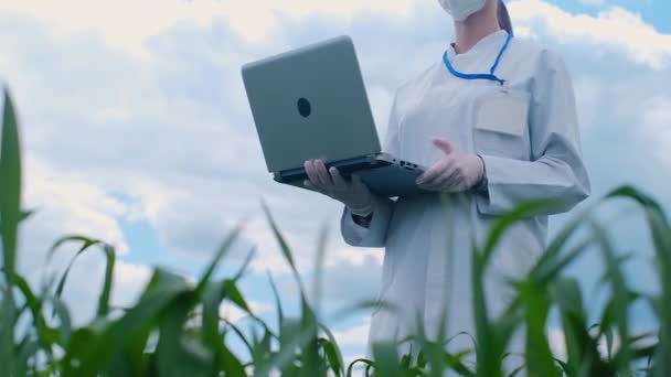 Koruyucu Giysili Bir Araştırma Doktoru Dizüstü Bilgisayarını Elinde Tutuyor Bitkiler — Stok video