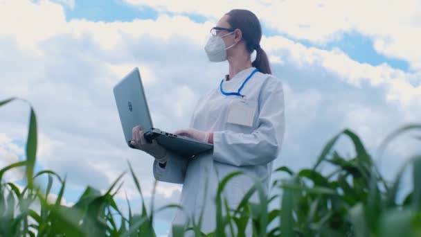 보호용 양복을 연구원 랩탑을 식물에 실험을 실험실 농장을 바라본다 — 비디오