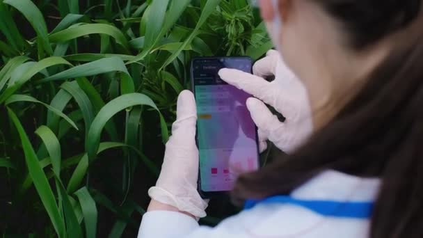 생물학자가 스마트폰을 사용하여 자료를 연구하고 그래프를 그리고 현장에서 일하는 생물학자의 — 비디오
