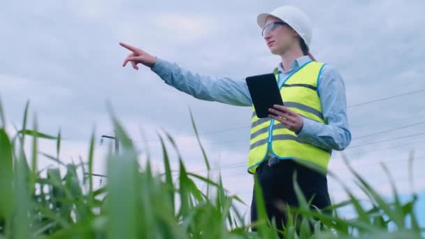 Miljöingenjör Kvinna Använder Projektdokument Och Filer Och Samlar Effektiv Information — Stockvideo