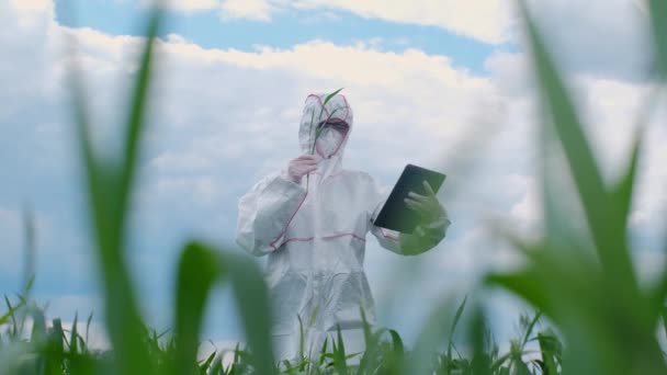 Maskeli Koruyucu Giysili Bir Biyolog Modern Teknolojinin Yardımıyla Alanı Keşfediyor — Stok video