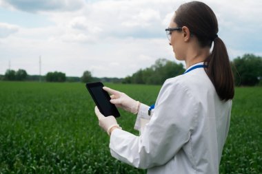 Beyaz önlüklü bir kadın tarım uzmanı tarladaki bitkilerin büyümesini kontrol ediyor. Tarladaki bir biyolog buğday değerlerini kontrol eder, bir çiftçi bir tablet, tarım sektörü konsepti üzerine not alır.