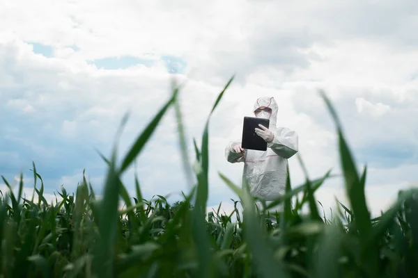 Scientist Protective White Ppe Suit Treats Seedlings Sprays Leaves Fertilizers — Stock Photo, Image