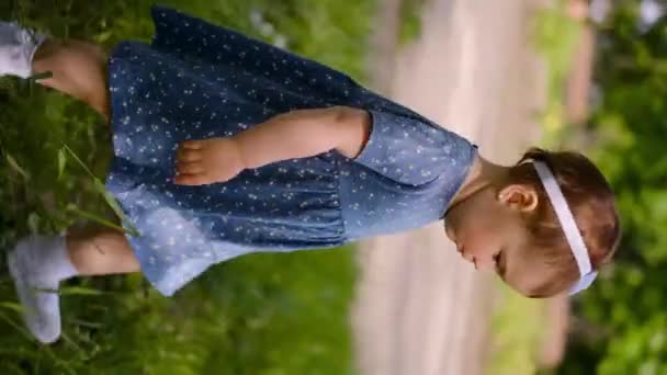 아기가 걸음을 내딛는다 공원의 실루엣으로 풀밭을 뛰어다니는 아이가 꿈꾸는 공원에 — 비디오