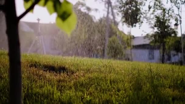 街の通りに自動芝生散水システムのクローズアップ 都市生活の向上のためのインフラ — ストック動画