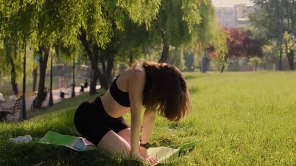 여자는 자연에 둘러싸인 공원에서 잔디에 로터스 위치에 라이프 스타일에 요가와 — 비디오
