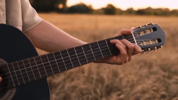 Erkek Hipster Buğday Tarlasında Elektro Gitarla Oynuyor Uzun Saçlı Hippi — Stok video