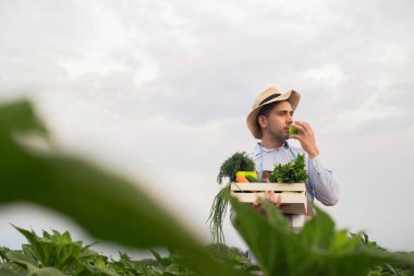 Mutlu genç bir çiftçi taze sebze bir sepeti tutan portresi. Arka plan doğa biyolojik, biyolojik ürünler, biyo ekoloji, kendi elleriyle, vejetaryen, salata sağlıklı yetiştirilen kavramı üzerinde