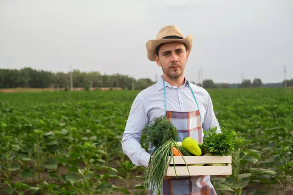 Mężczyzna Rolnik Trzymający Drewniane Pudełko Świeżymi Surowymi Warzywami Kosz Warzywami — Zdjęcie stockowe
