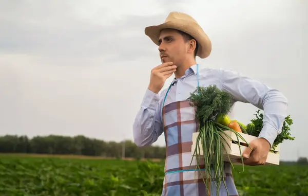 オスオーガニック農家が野菜畑に立って 新鮮な野菜 有機野菜 健康的なライフスタイルのコンセプトを持つ木箱を保持しています — ストック写真