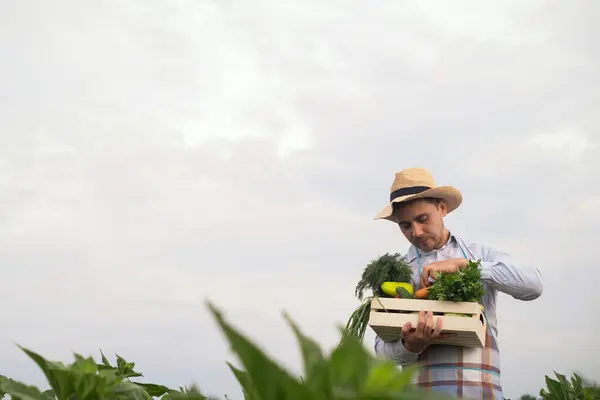 Portret Szczęśliwy Młody Rolnik Posiadający Świeżych Warzyw Koszu Tle Natury — Zdjęcie stockowe