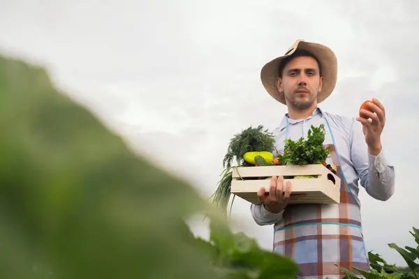 Retrato Joven Agricultor Feliz Sosteniendo Verduras Frescas Una Canasta Sobre —  Fotos de Stock