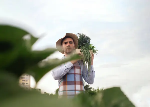 Молодой Человек Держит Коробку Овощами — стоковое фото