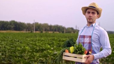 Bir çiftçinin elinde bir kutu sebze. Tarım endüstrisi. Çiftçi tarlaya taze sebze kutularını taşır. Organik gıda yetiştirme kavramı. Çiftçiler kutulara sebze koyar. Patates.,