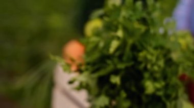 Bir çiftçinin elinde bir kutu sebze. Tarım endüstrisi. Çiftçi tarlaya taze sebze kutularını taşır. Organik gıda yetiştirme kavramı. Çiftçiler kutulara sebze koyar. Patates.,