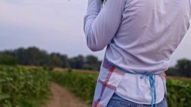 Taze olgun sebzeler tutan çiftçi, ürün kalitesini ölçen, sebze kokusu alan, açık hava pazarında kamera tutan. Organik sebzeler, küçük yerel çiftlikler, tarım kavramı.