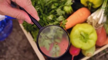 Laboratuvarda büyüteç altında sebzeleri inceleyen bilim adamlarına yakın çekim