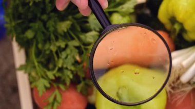 Laboratuvarda büyüteç altında sebzeleri inceleyen bilim adamlarına yakın çekim