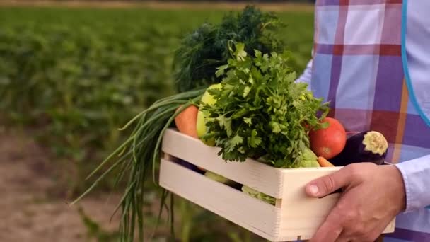 Låda Grönsaker Händerna Bonde Jordbruksindustri Jordbrukaren Bär Lådor Med Färska — Stockvideo