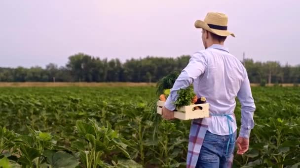 Eine Kiste Mit Gemüse Den Händen Eines Bauern Die Agrarindustrie — Stockvideo
