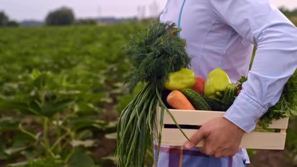 农夫手里拿着一盒蔬菜 农业工业 农夫把一箱箱箱新鲜蔬菜运到田里去 种植有机食品的概念 农民把蔬菜装在箱子里 — 图库视频影像