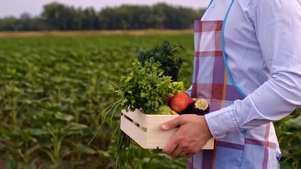 Egy Doboz Zöldség Egy Farmer Kezében Mezőgazdasági Ipar Mezőgazdasági Termelő — Stock videók