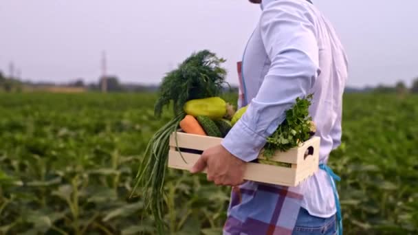 农夫手里拿着一盒蔬菜 农业工业 农夫把一箱箱箱新鲜蔬菜运到田里去 种植有机食品的概念 农民把蔬菜装在箱子里 — 图库视频影像