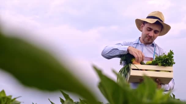 Een Doos Groenten Handen Van Een Boer Landbouwsector Boer Draagt — Stockvideo