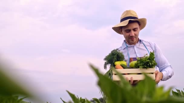 Krabici Zeleniny Rukou Farmáře Zemědělský Průmysl Farmář Odnáší Pole Krabice — Stock video