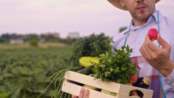 Jordbrukare Som Håller Färska Mogna Grönsaker Kontrollerar Produktkvaliteten Luktar Grönsaker — Stockvideo
