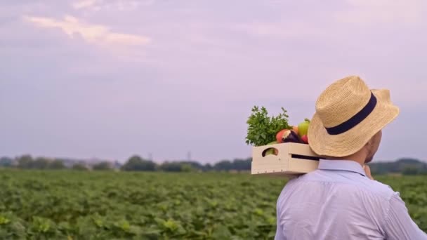 Agricultor Segurando Vegetais Frescos Maduros Verificando Qualidade Produto Cheirando Legumes — Vídeo de Stock