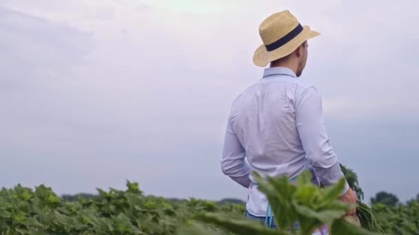 Фермер Держит Свежие Зрелые Овощи Проверяет Качество Продукции Нюхает Овощи — стоковое видео