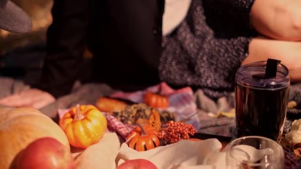 Szczęśliwa Brunetka Pikniku Jasnym Jesiennym Parku Żółtymi Liśćmi Stylowa Atrakcyjna — Wideo stockowe