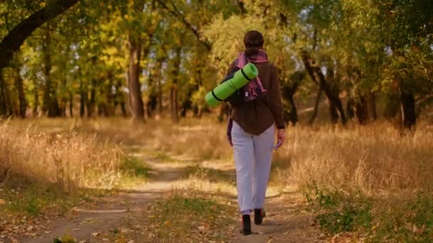 公園の観光客 バックパックを持つ観光ガールは 日光の下の森の公園を歩き 旅行観光の概念 森の中を歩く観光客 女性のフェミニズムの概念 — ストック動画